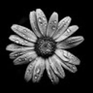 Meet your Posher, Catheryn